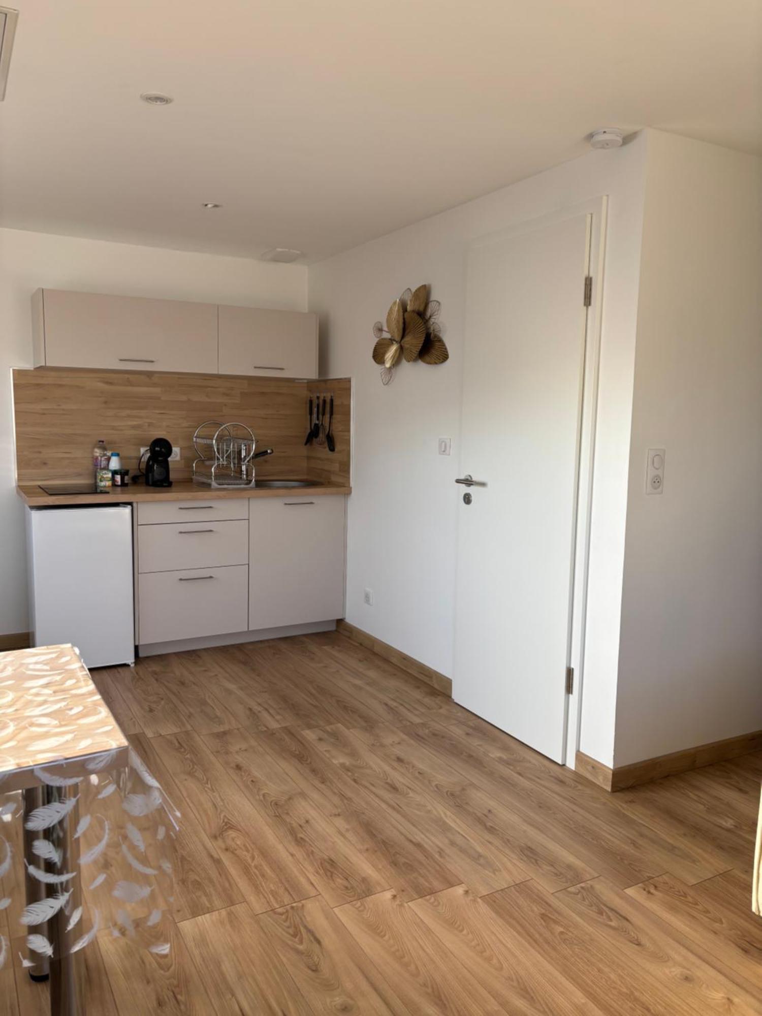 Les Petites Plumes D'Hag Apartment Haguenau Exterior foto